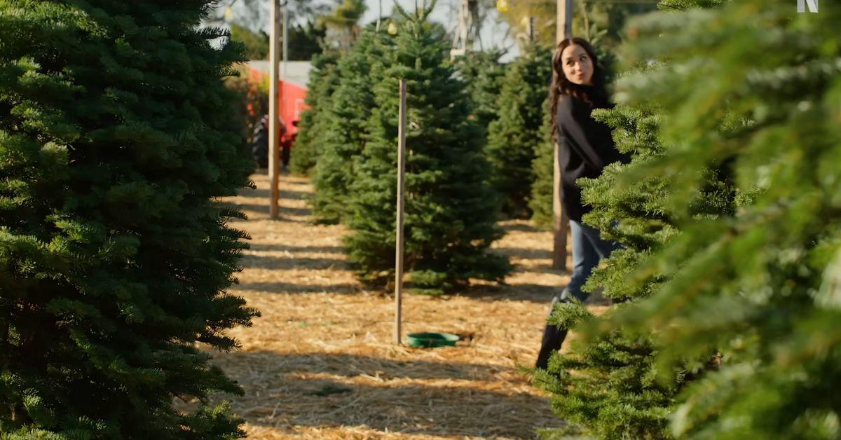 Photo of Meghan Markle