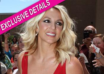 //pp_britbritexcldetails