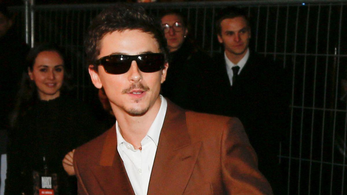 Photo of Timothée Chalamet