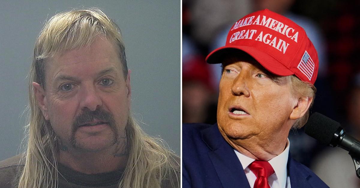 Composite photo of Joe exotic and Donald Trump