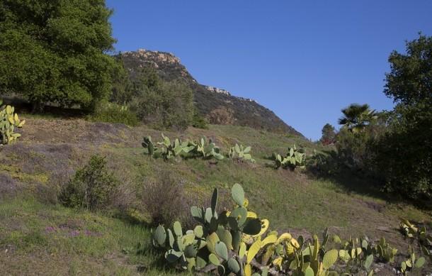 //daryl hannah malibu home  x