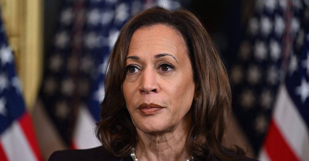 Kamala Harris’ Secret Past Laid Bare: Wannabe Prez’s Hindu Background, Eco Obsession, Dating Montel Wiliams... and Being a ‘Momala’ Stepmom