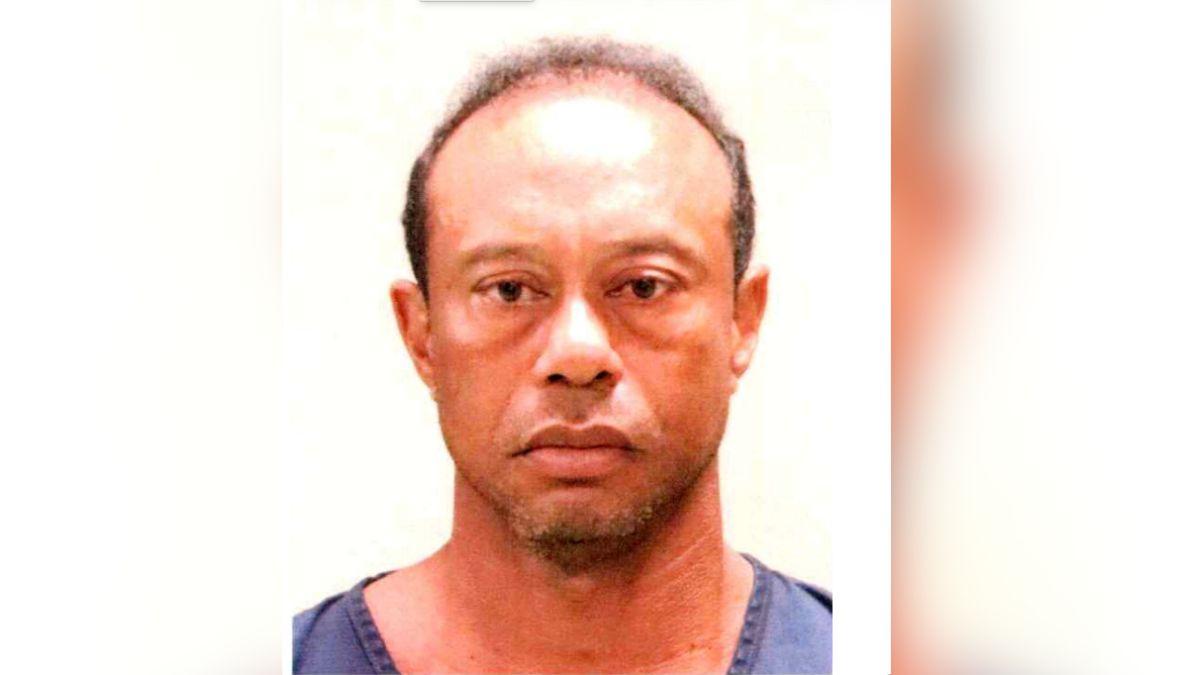 Tiger Woods mugshot