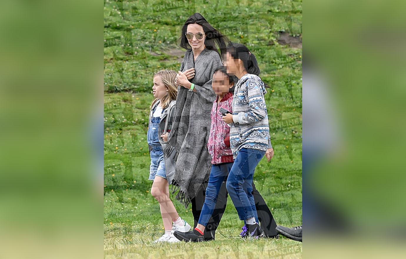 Angelina Jolie Divorce Kids Adopting