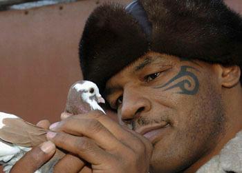 //pp_tysonpigeon_getty