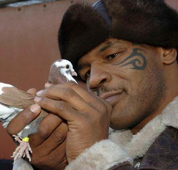 //pp_tysonpigeon_getty