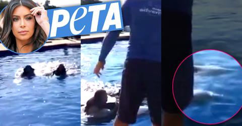 //peta slams kim kardashian swimming dolphins mexico vacation pp sl