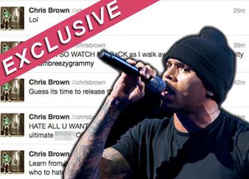 //chris brown twitter rant splash news