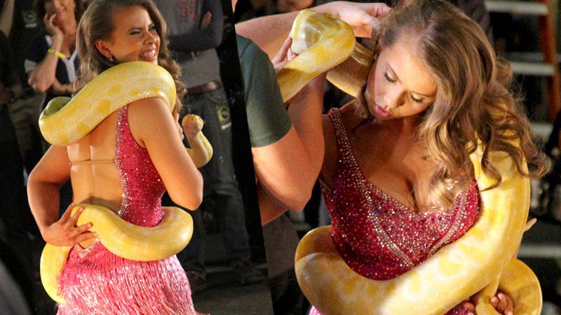 Bindi Irwin Dancing With The Stars Snake