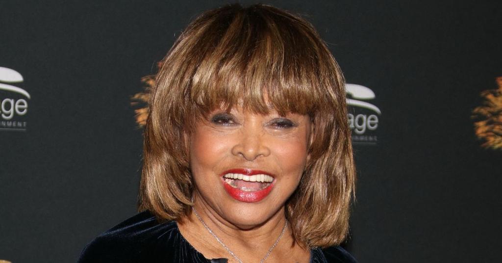 Tina Turner's Passing: Family Worried for Her Health After Death of Son ...