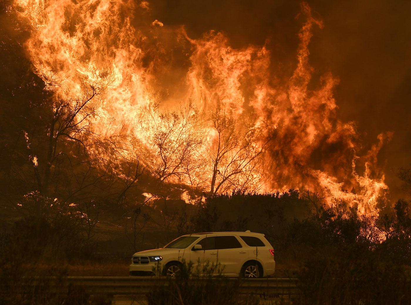 California-Wildfire-Celebrity-Reactions