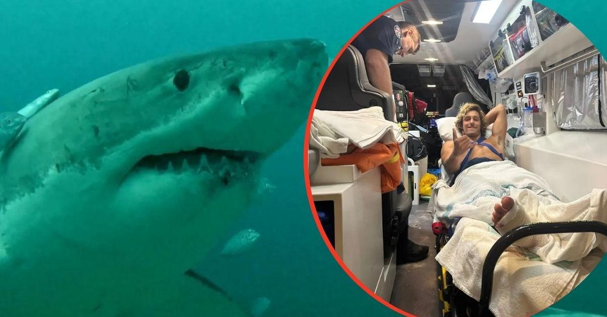 Shark Attack Survivor Reveals Split-Second Move He Used to Escape Deadly Encounter Off Australia Coast