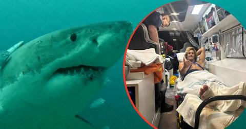split image of shark and Alejo Santinaque