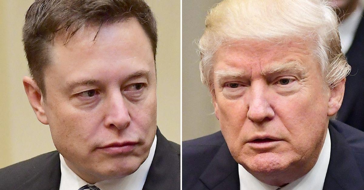 Split photo of Elon Musk, Donald Trump.