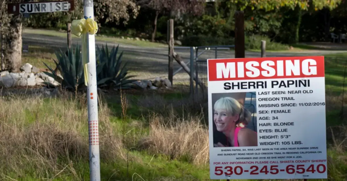 sherri papini missing poster mega