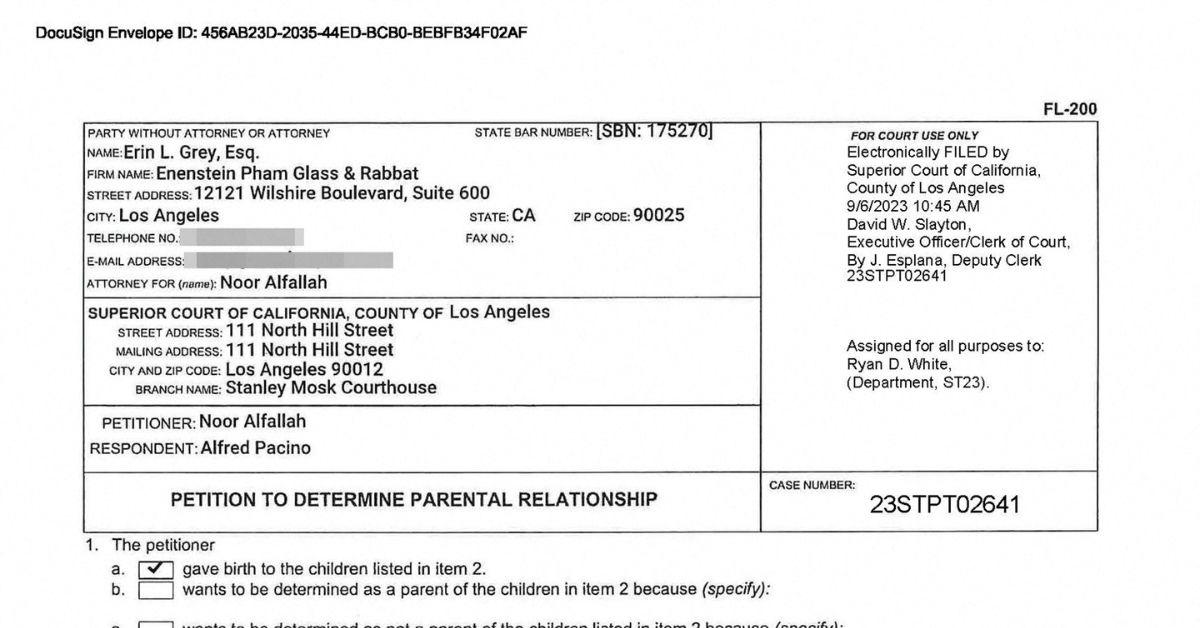 al pacino noor alfallah k month child support joint legal custody