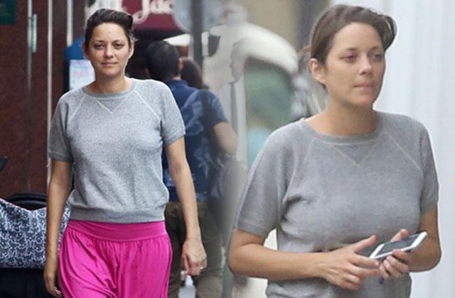 Brad Pitt Angelina Jolie divorce Marion Cotillard pregnant