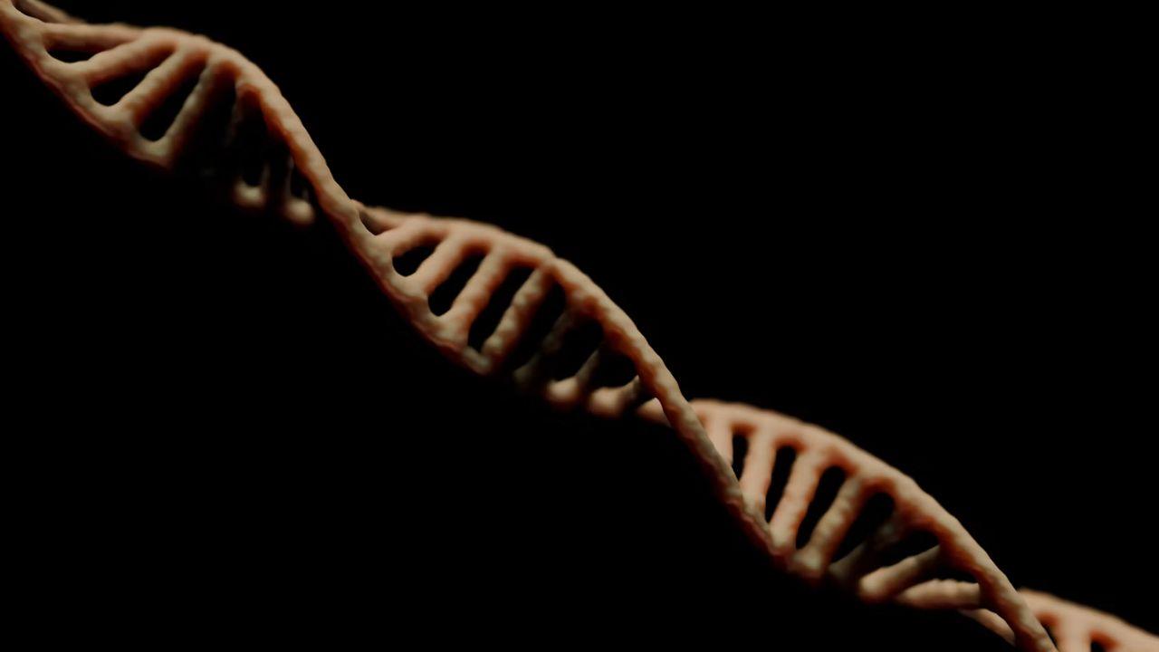 Bundy was executed in 1989, but new DNA evidence is still adding to the list of his victims