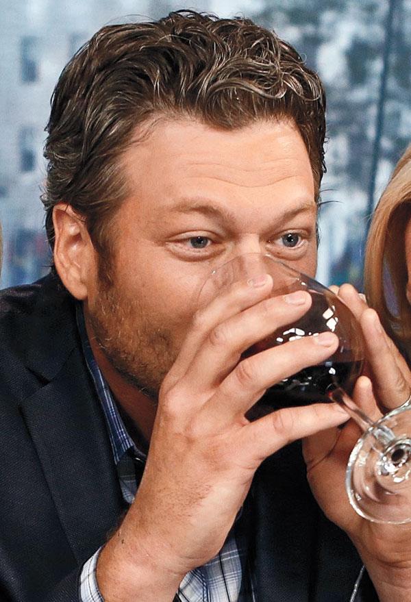 Blake Shelton Miranda Lambert Divorce Cheating