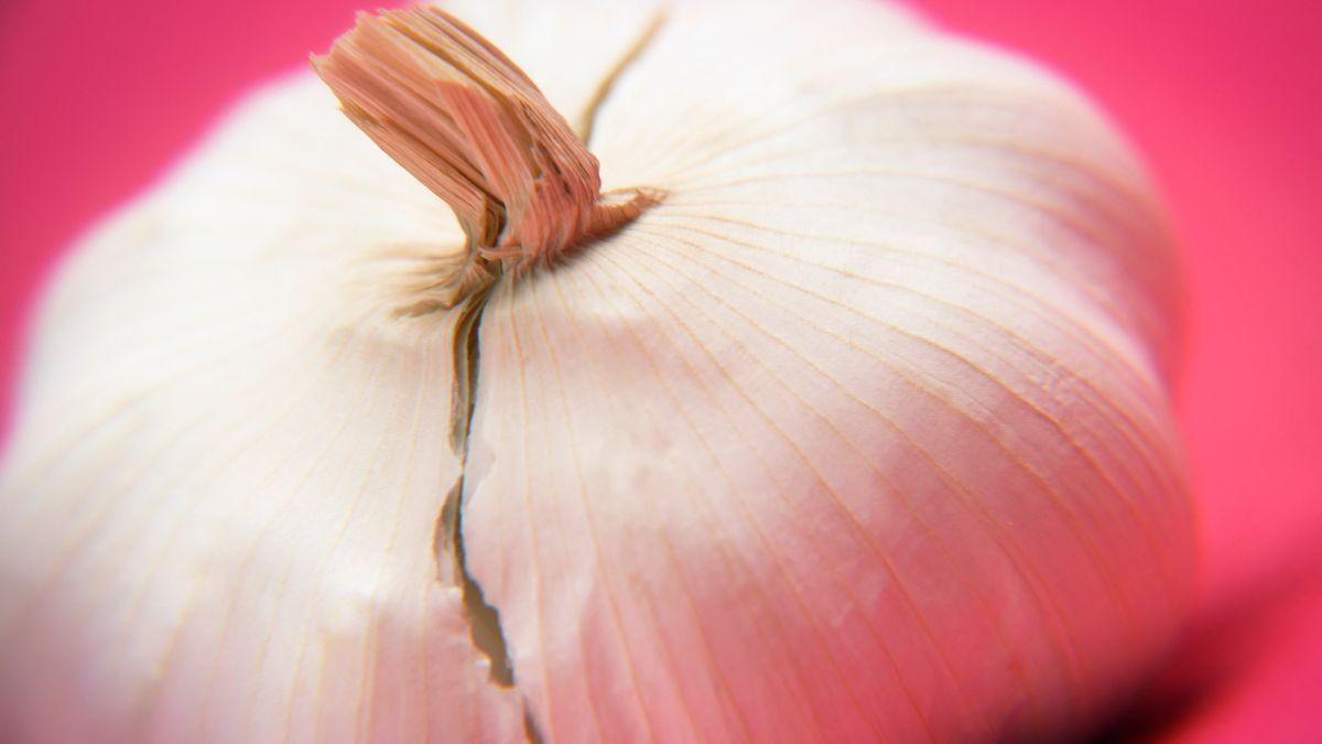 Photo of a garlic
