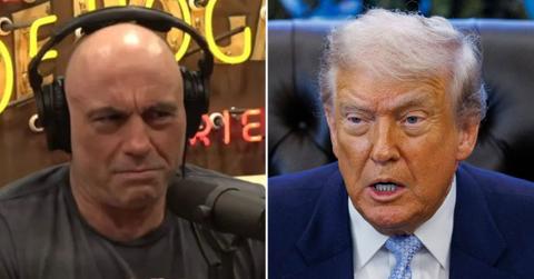 Joe Rogan didn't hold back on his opinions of some MAGA fans.