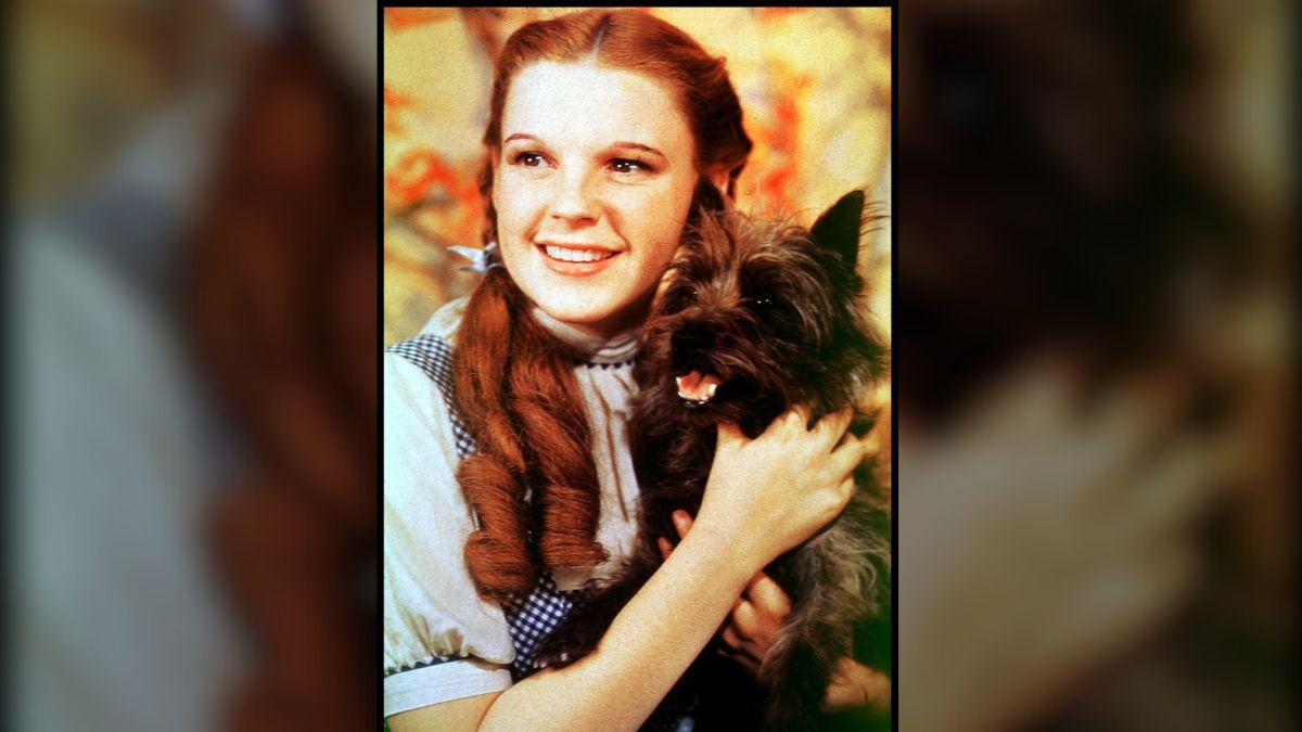 Fricke stated Garland's struggles with medication began years after 'The Wizard of Oz.'