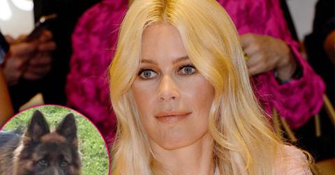 Claudia Schiffer Pay Farmer After Dog Kills Sheep