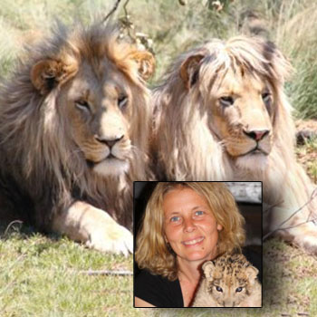 //andi rive lions hunting nc