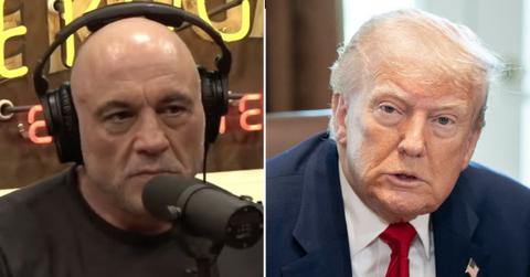 joe rogan, donald trump