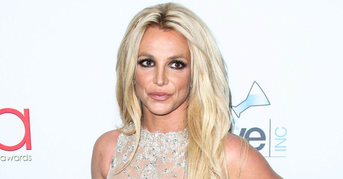 Britney Spears Reunites With Ex Paul Soliz