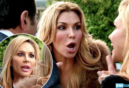 Brandi Glanville Adrienne Maloof 25 Scandals The Real Housewives Of Beverly Hills