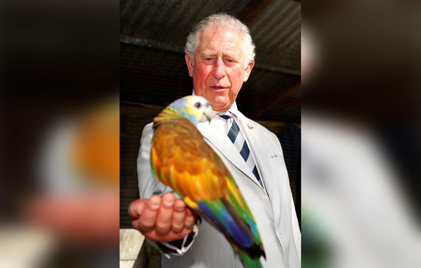 Prince Charles and Camilla Duchess of Cornwall Let Loose in the Caribbean