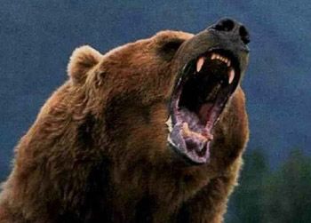 //bear attack alaska