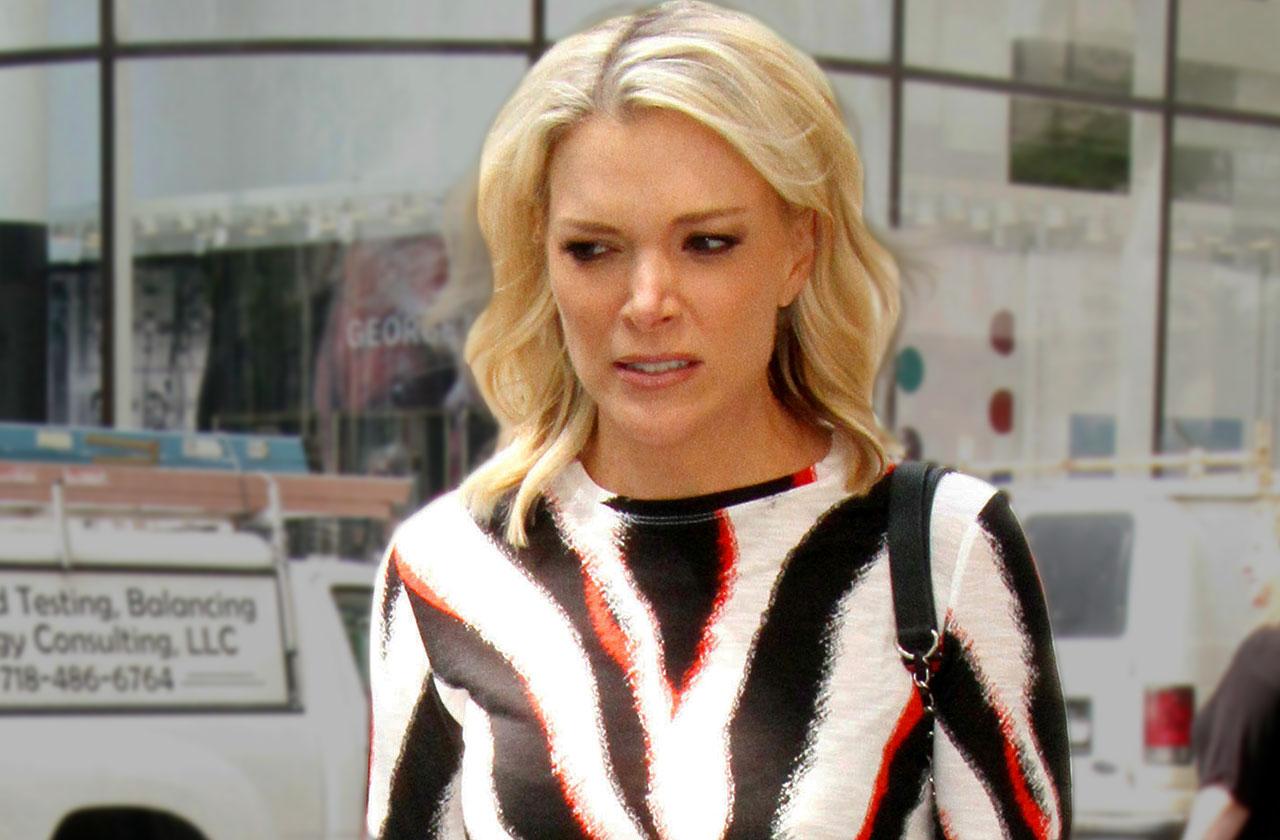 Megyn Kelly Today Show Guests Controversy