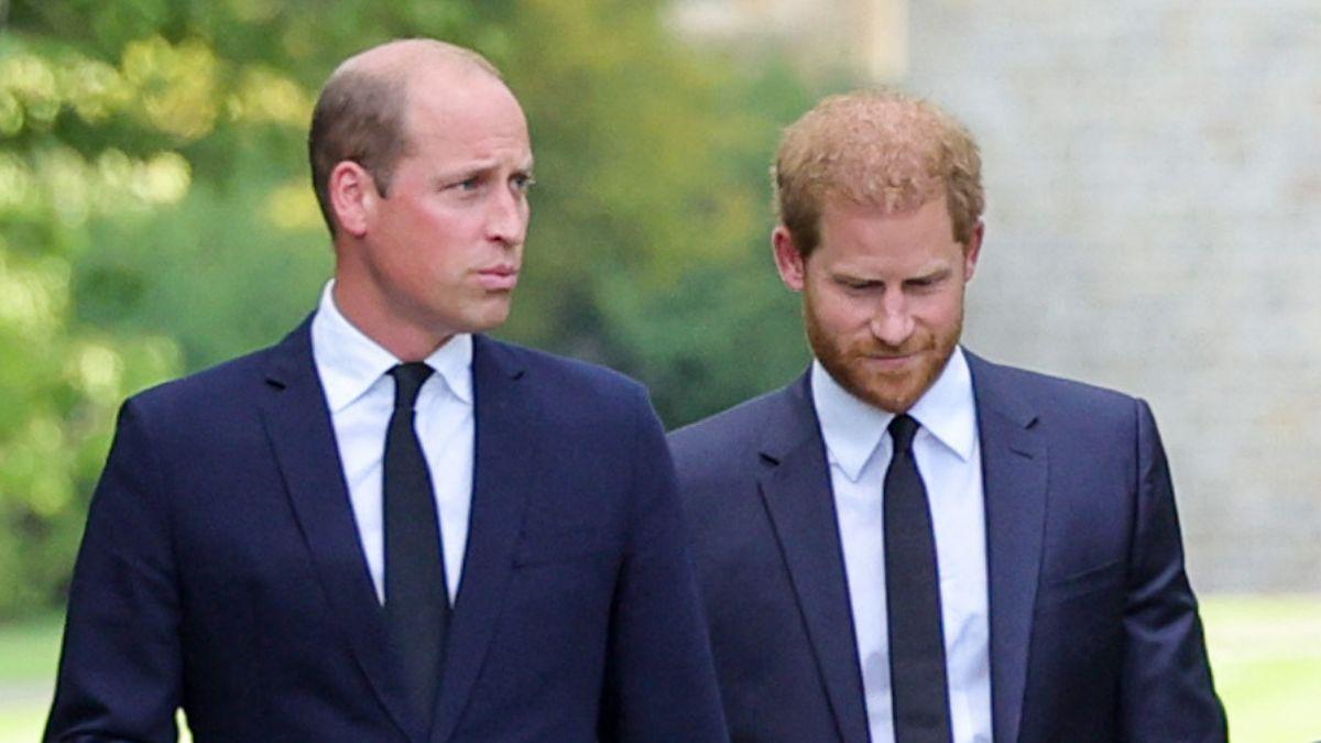 Photo of Princes William and Harry