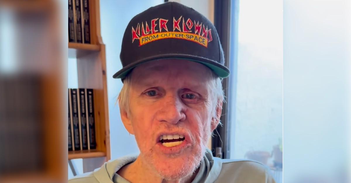 Photo of Gary Busey