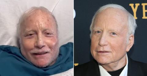 picture of Richard Dreyfuss