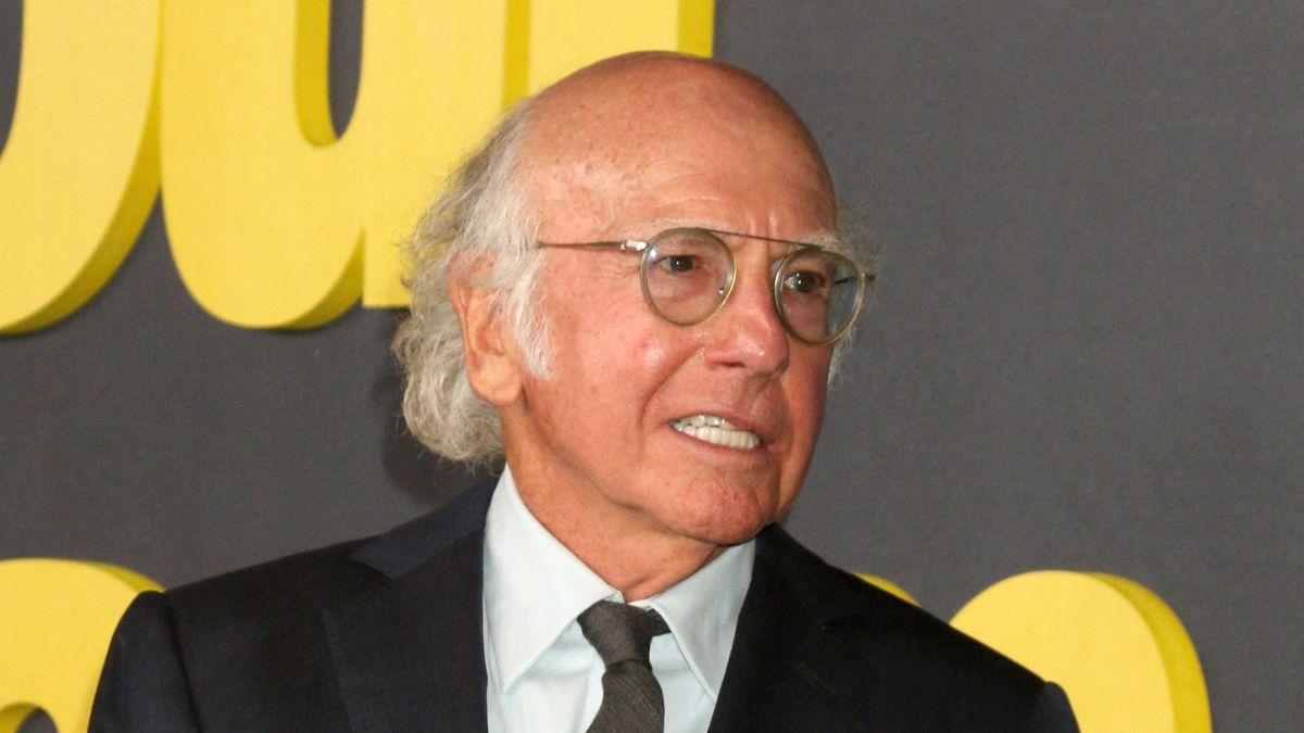 picture of Larry David