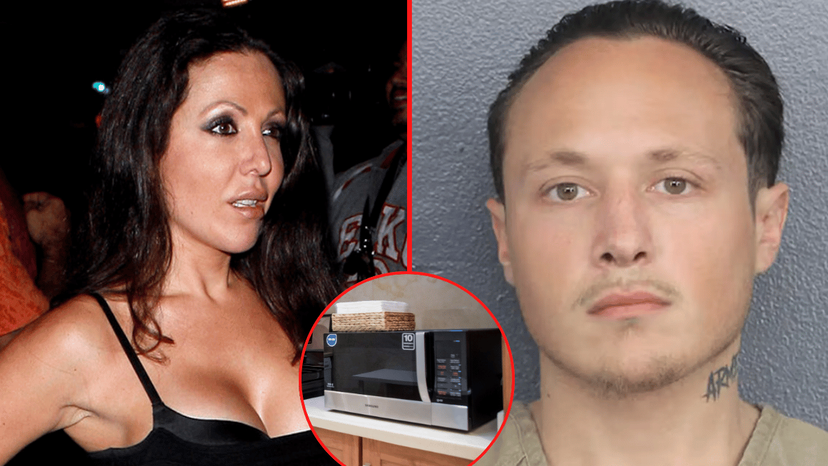 Amy Fisher's troubled son, Brett Bellera, was arrested for possibly microwaving his pet cat.