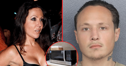 Amy Fisher's troubled son, Brett Bellera, was arrested for possibly microwaving his pet cat.