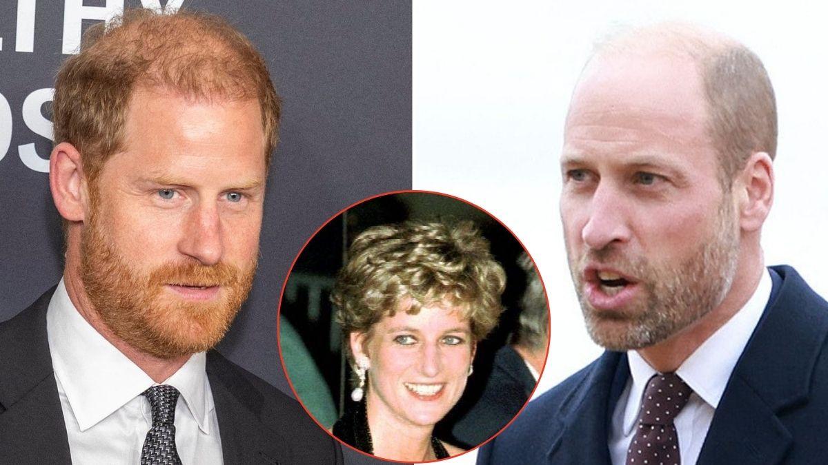 picture of Prince Harry, Princess Diana and Prince William