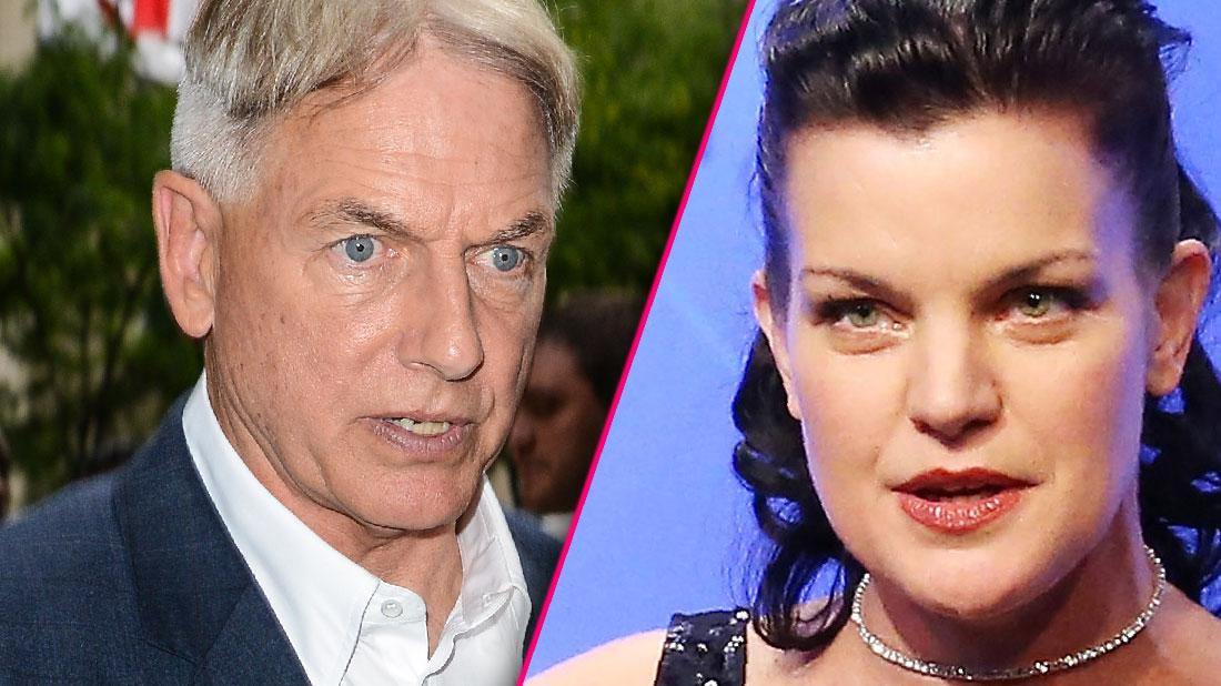 Pauley Perrette Says She's Still Terrified Of Mark Harmon