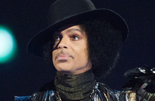 Prince Dead-Alleged Love Children Attorney Objects Court DNA Order