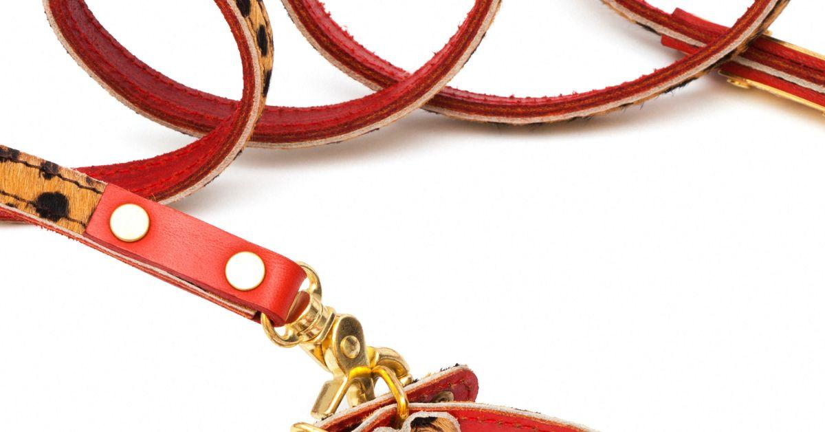 A leash turned into deadly weapon after tense clash with stray golden retriever.