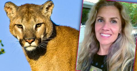 Oregon Woman Uses Telepathy Guide Mountain Lion