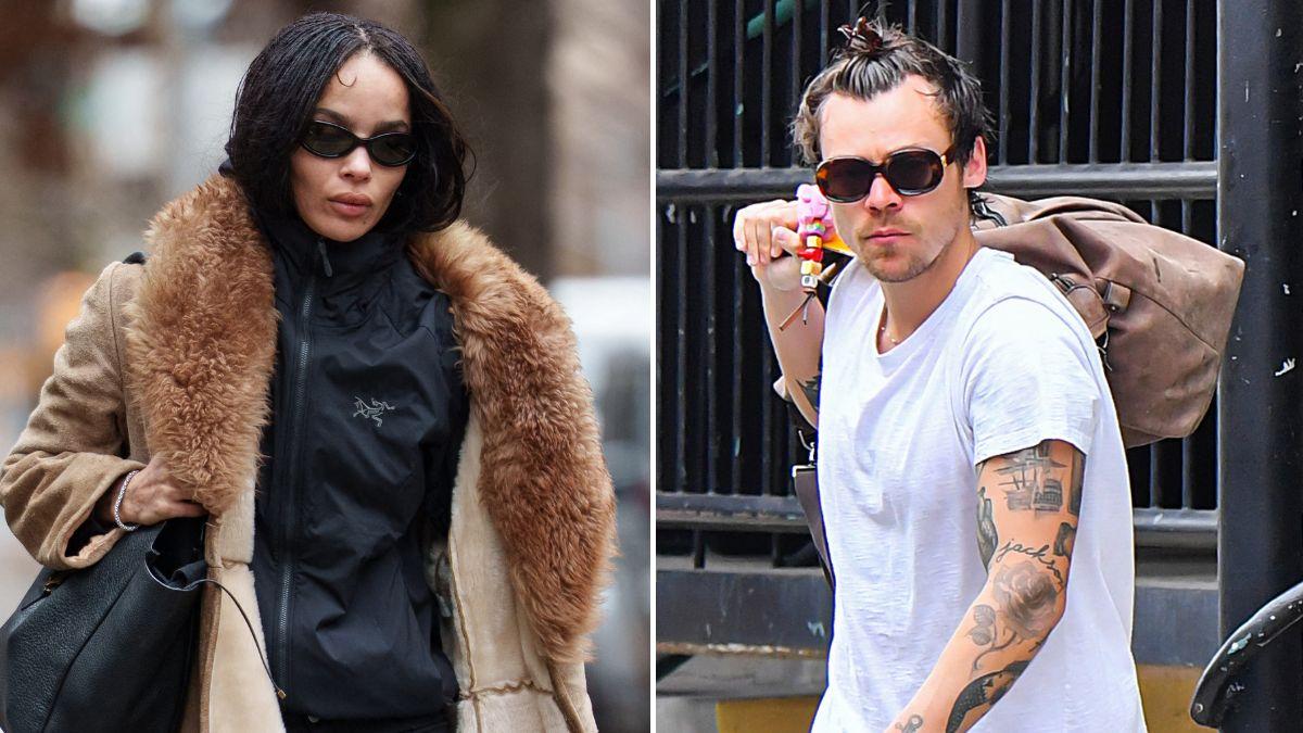 Photo of Harry Styles and Zoë Kravitz