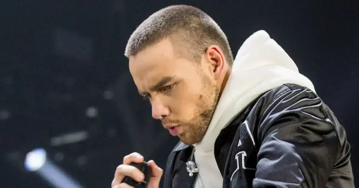 liam payne shared batman obsession