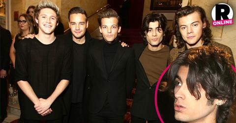 //one direction concert zayn malik orlando pp sl