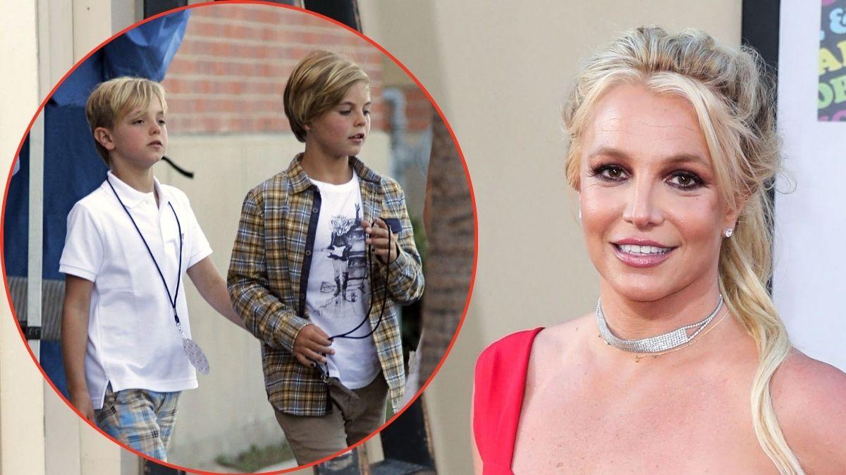 Britney Spears' sons have rejected conservatorship roles as concerns grow over their mother's struggles.