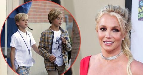 Britney Spears' sons have rejected conservatorship roles as concerns grow over their mother's struggles.